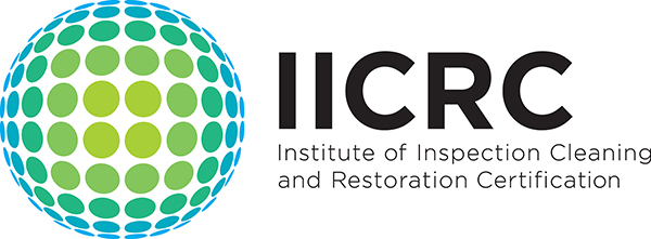 IIRC Logo