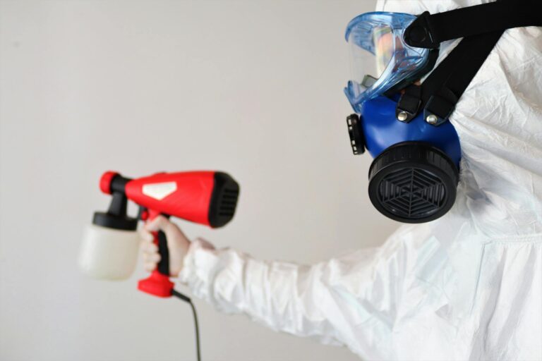 mold removal